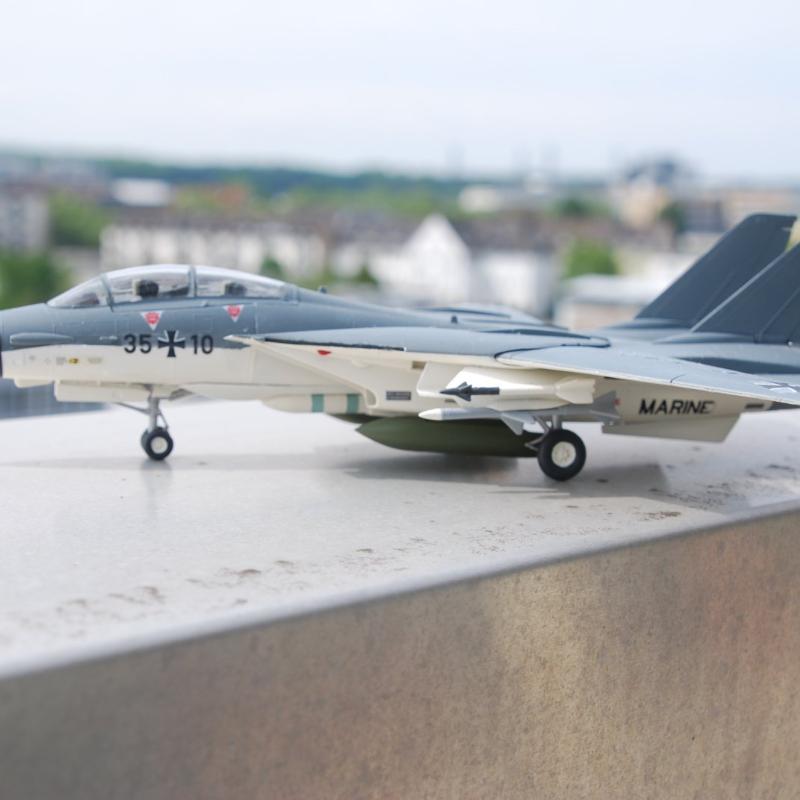 Luftwaffe Grumman F14G Seekatze