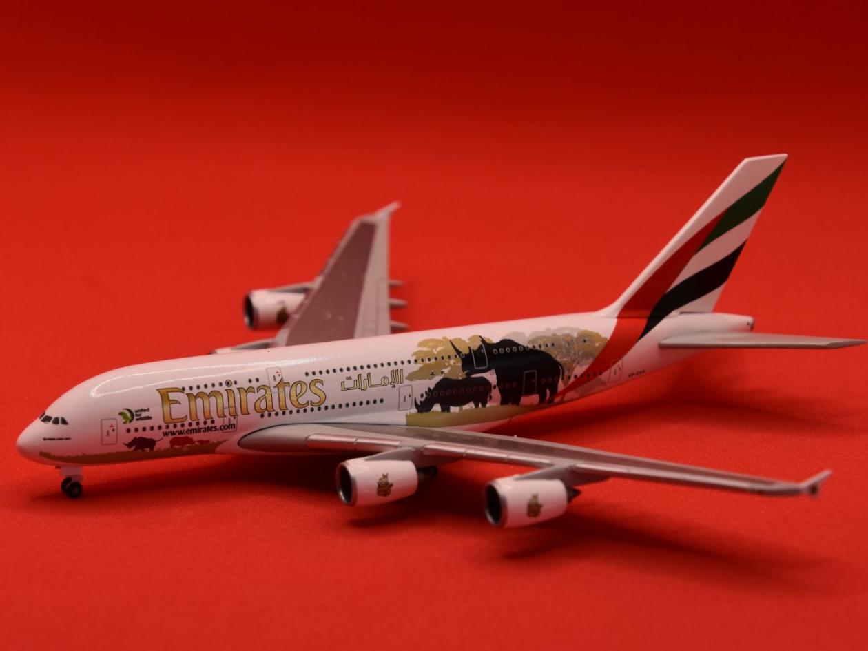 flown 2025