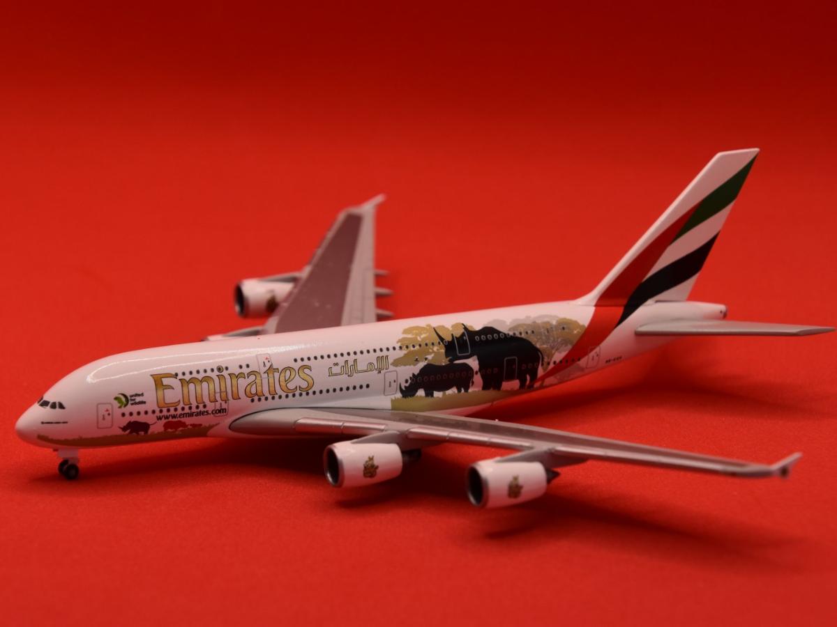 flown 2025