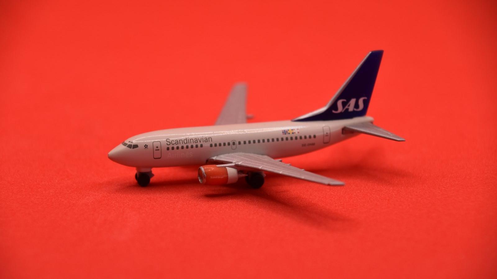 flown 2000,2019